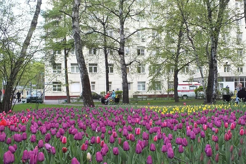 Фото клиники 5