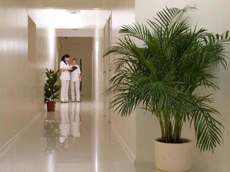 Фото клиники 4