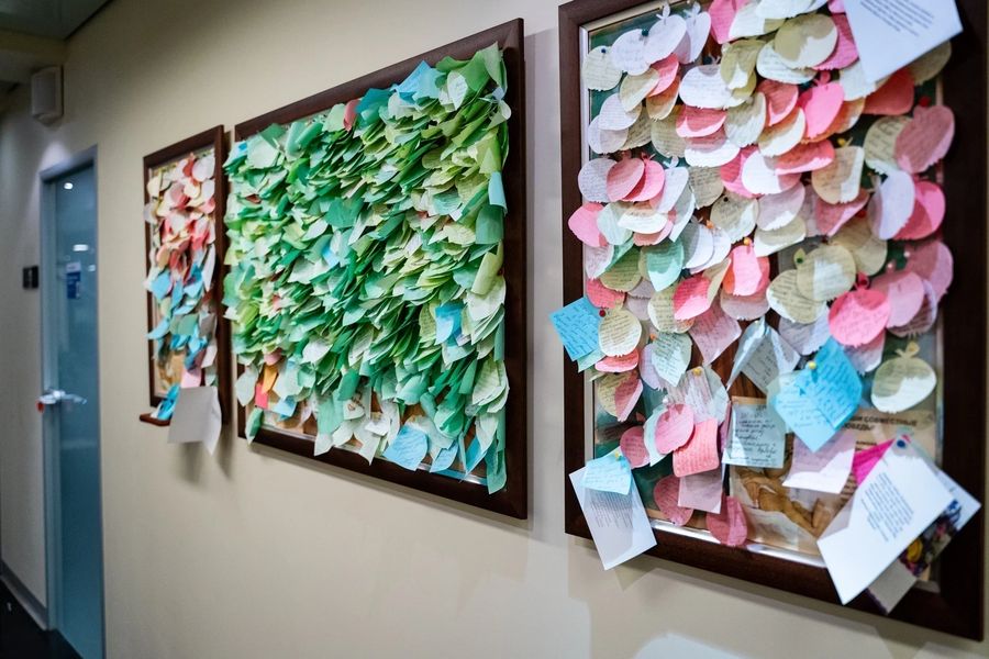 Фото клиники 6