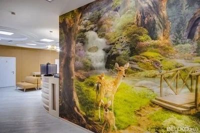 Фото клиники 8