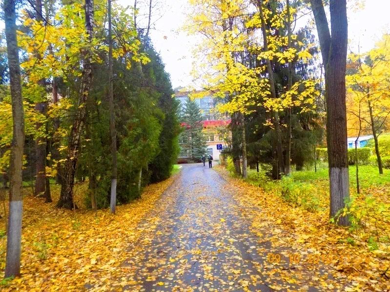 Фото клиники 1