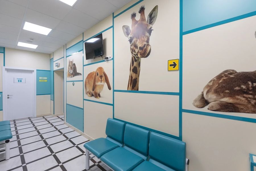 Фото клиники 3