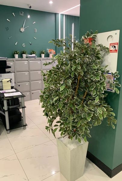 Фото клиники 5