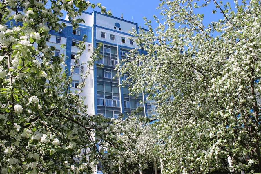 Фото клиники 2